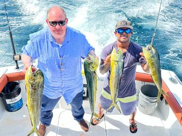 Mahi Mahi Action in Banderas Bay
