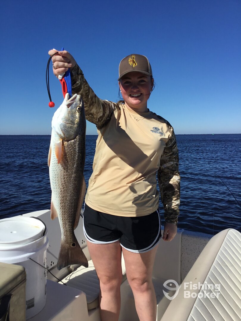 Port St. Joe Report Photo 0