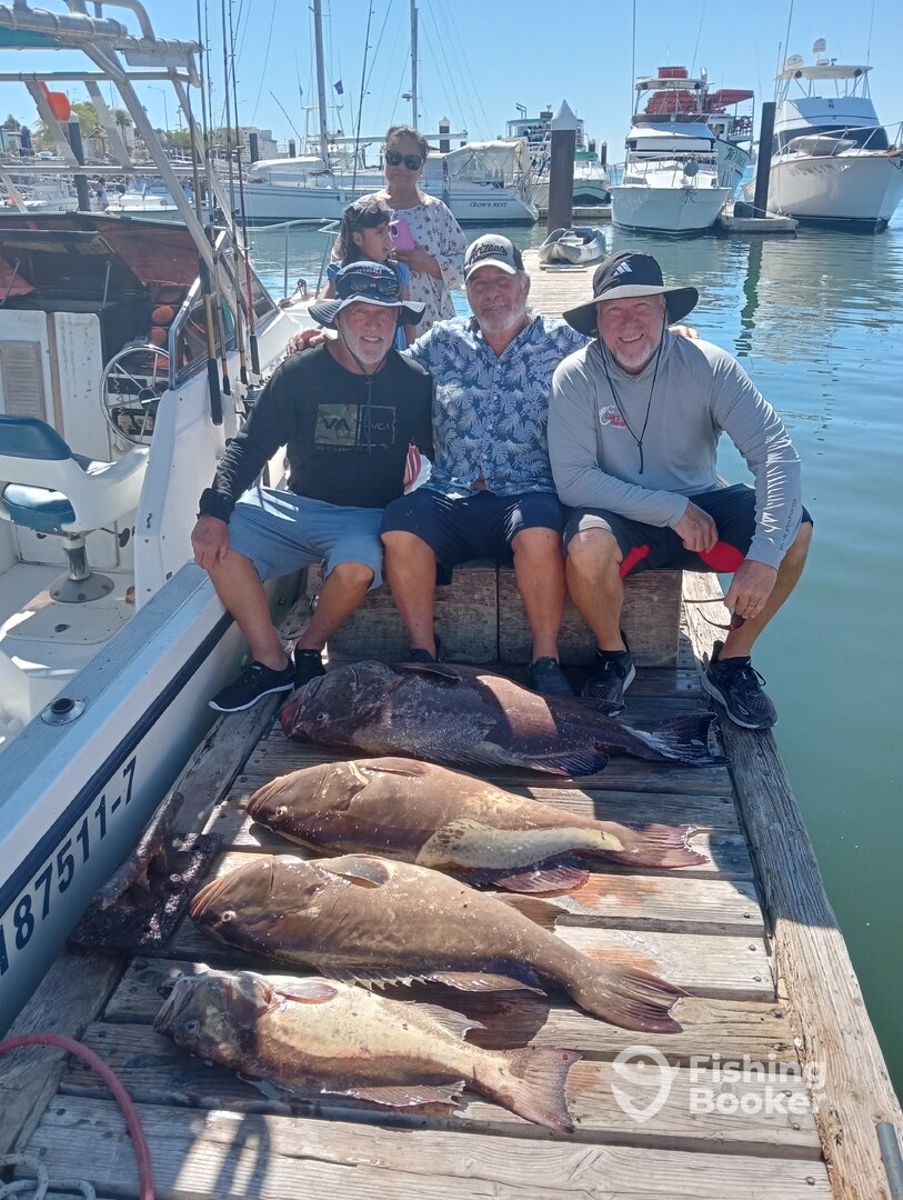 Sonora Report Photo 0