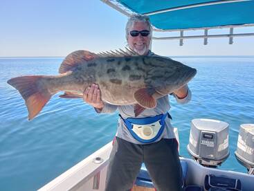 Sonora Report Photo 3