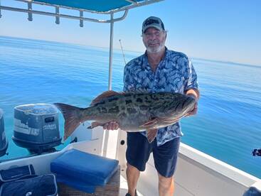 Sonora Report Photo 4