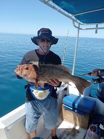 Sonora Report Photo 2