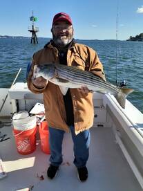 Striped Bass fishing is still going well