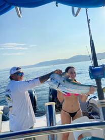 mahi mahi and sailfish on board