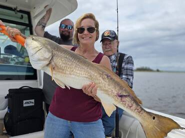 St. Simons Island Report Photo 2