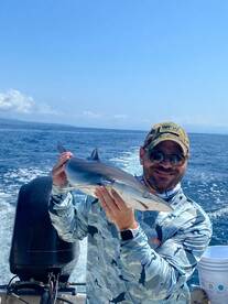 Puerto Vallarta Report Photo 2