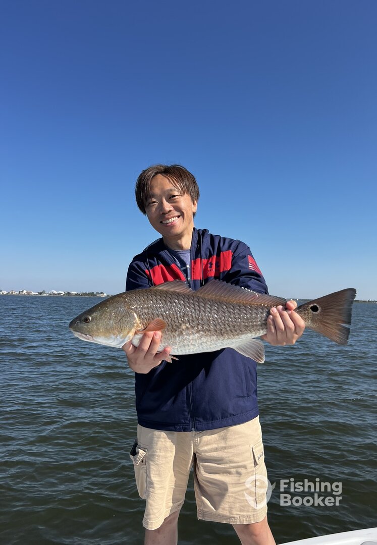 New Orleans Report Photo 0