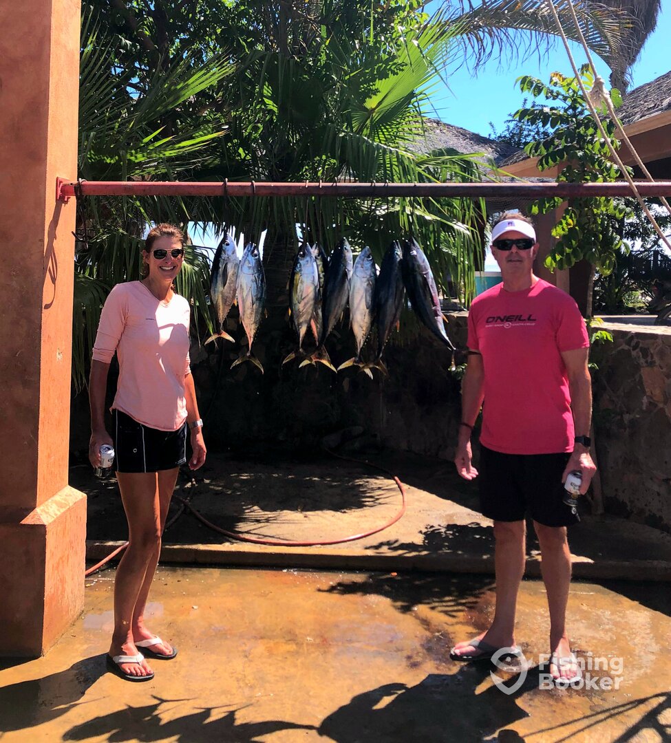 San Jose del Cabo Report Photo 0