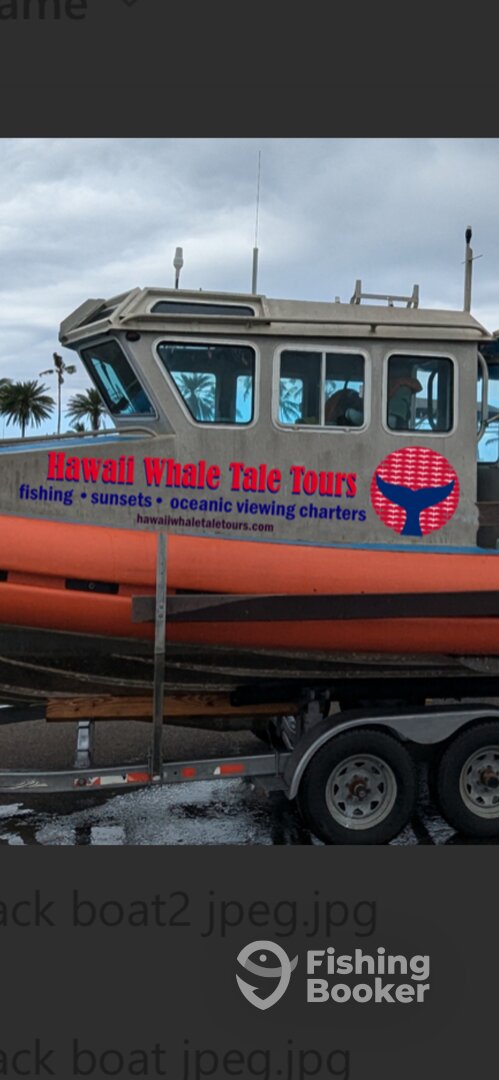 Haleiwa Report Photo 0