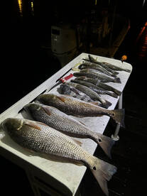 Beaufort Report Photo 2