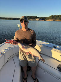 Tega Cay Report Photo 2