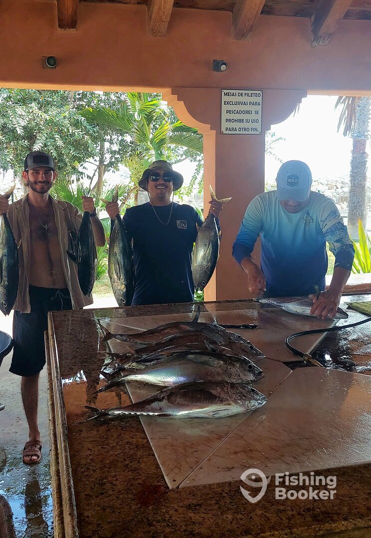 San Jose del Cabo Report Photo 0
