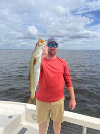 Post Storm Trout  