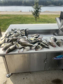 Benton Report Photo 1