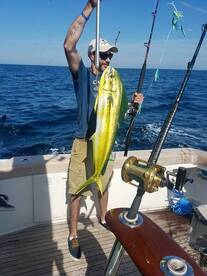 Tuna & Mahi Mahi Are Here!