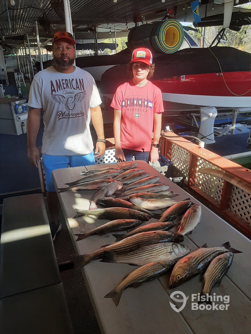 Pottsboro Report Photo 0