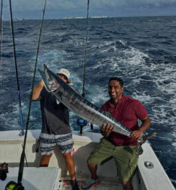Giant wahoo, mahi tuna and sharks