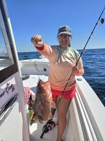Red Grouper everywhere