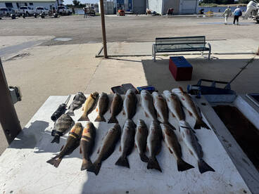 Red October Fishing is on fire right now
