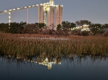 San Antonio Report Photo 1