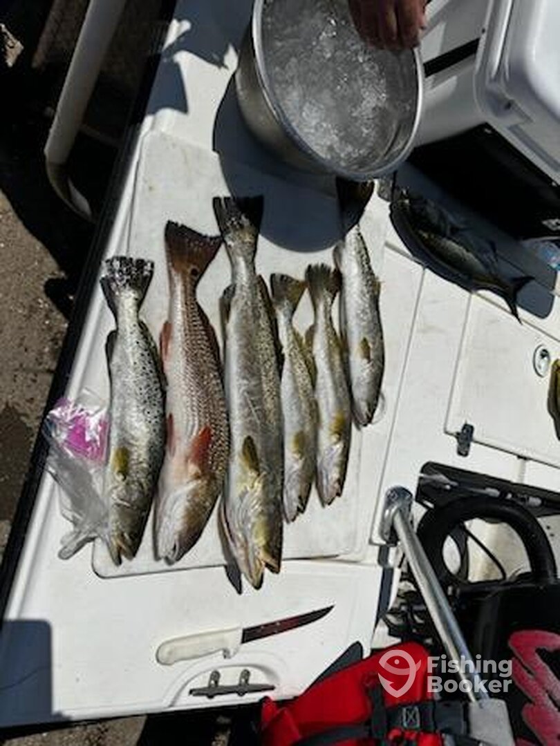 Carrabelle Report Photo 0