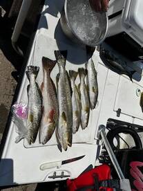 Cool mornings and hot inshore bite