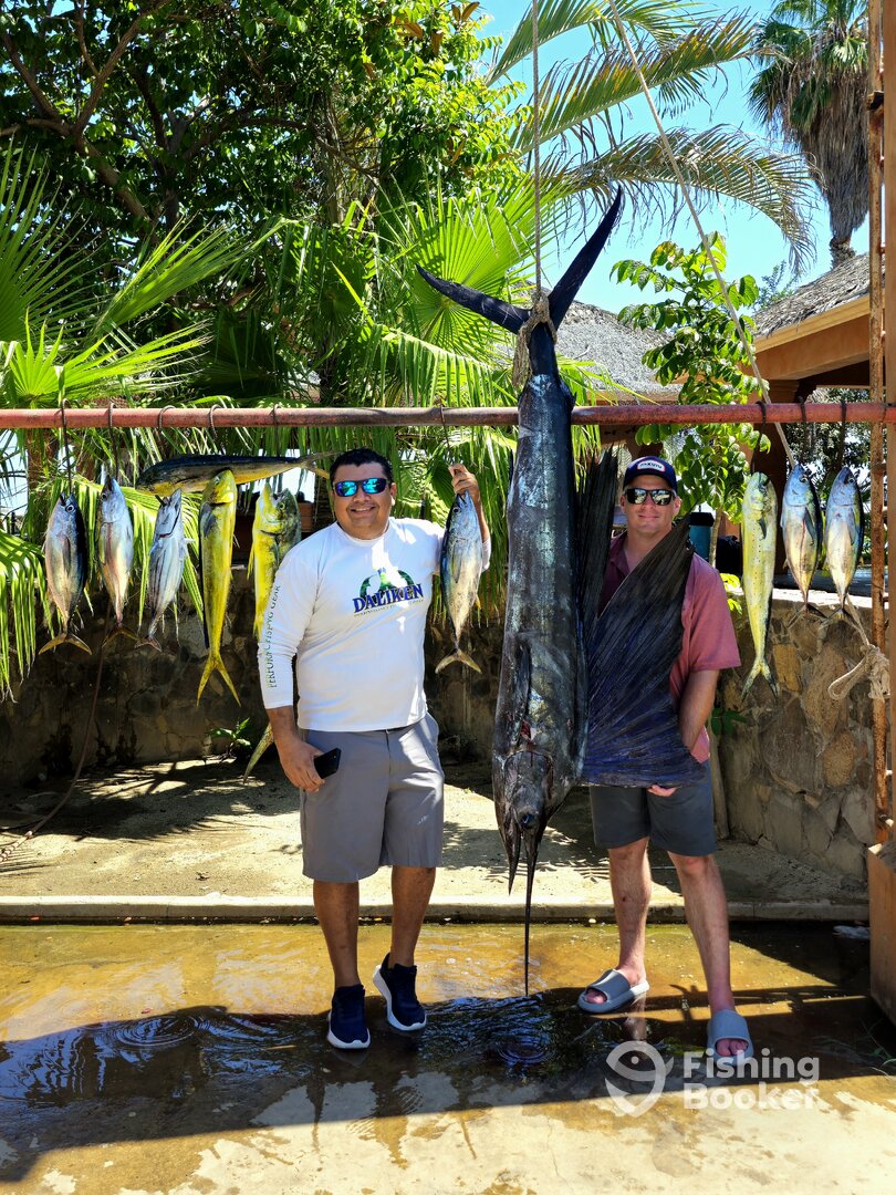 San Jose del Cabo Report Photo 0