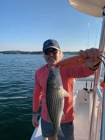 Gainesville Report Photo 1