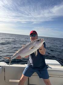 Amberjack season