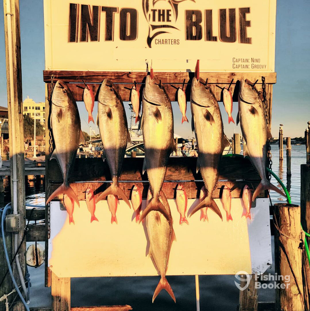 Destin Report Photo 0