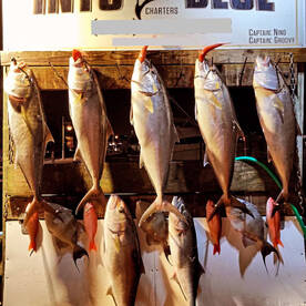 Destin Report Photo 1