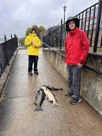 Pulaski Report Photo 2