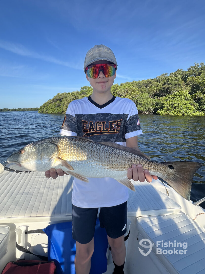Tarpon Springs Report Photo 0