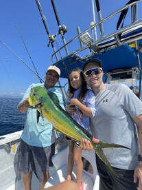 Mahi mahi are back 