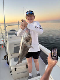 Chaw! “Wow look at that”!