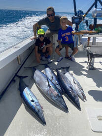 Sandys Report Photo 2