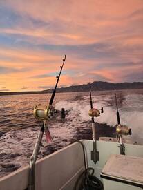 Haleiwa Report Photo 2