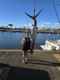 Haleiwa Report Photo 1