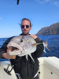 Amberjack 