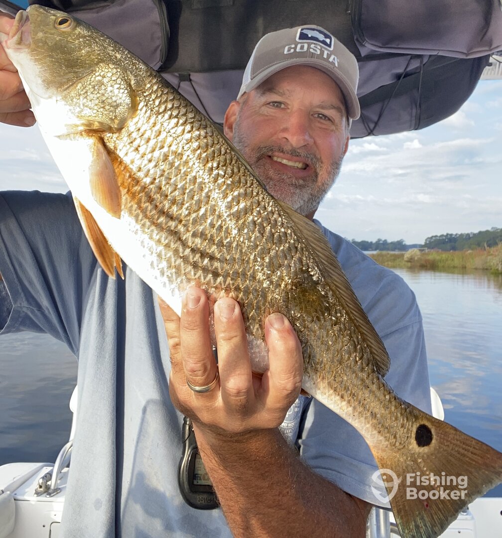 Fairhope Report Photo 0