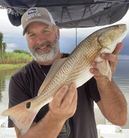 Fairhope Report Photo 1