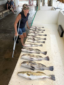 Speckled Trout and Drum
