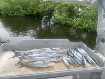 Boynton Beach Report Photo 2