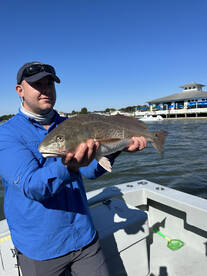 Virginia Beach Report Photo 1