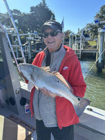 Virginia Beach Report Photo 2