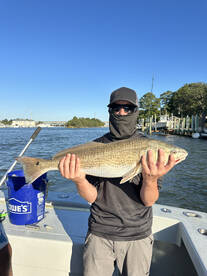 Virginia Beach Report Photo 2