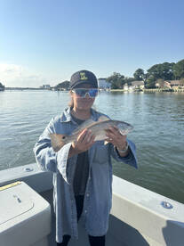 Virginia Beach Report Photo 2