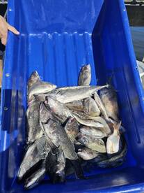 Point Pleasant Report Photo 2