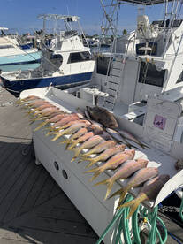 Key West Report Photo 1