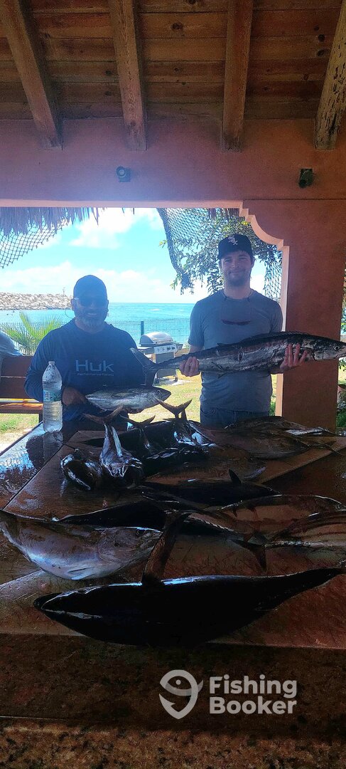San Jose del Cabo Report Photo 0